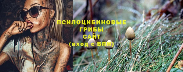 гидропоника Абаза