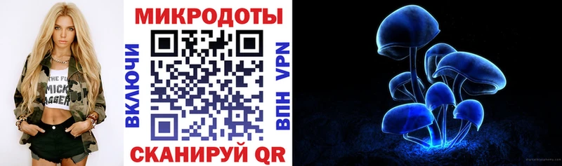 Псилоцибиновые грибы мицелий  Новопавловск 
